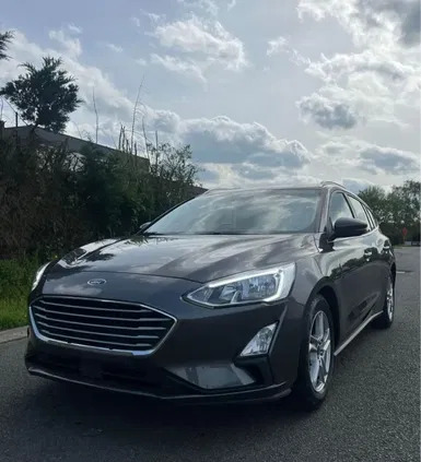 ford focus opole Ford Focus cena 43500 przebieg: 178000, rok produkcji 2019 z Opole